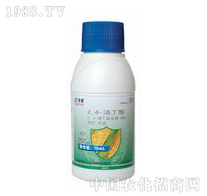A-80%24ζEC